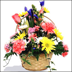 "Fruits N Flowers Combo-(code 06) - Click here to View more details about this Product
